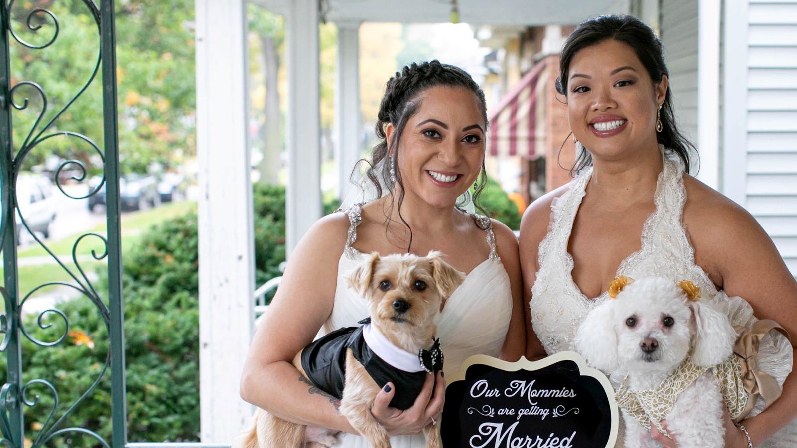 Two Brides In Wedding Dresses With Dogs